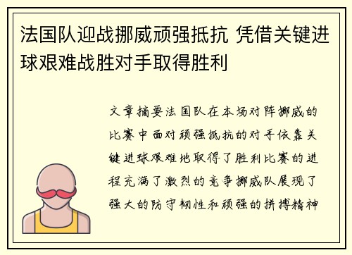 法国队迎战挪威顽强抵抗 凭借关键进球艰难战胜对手取得胜利