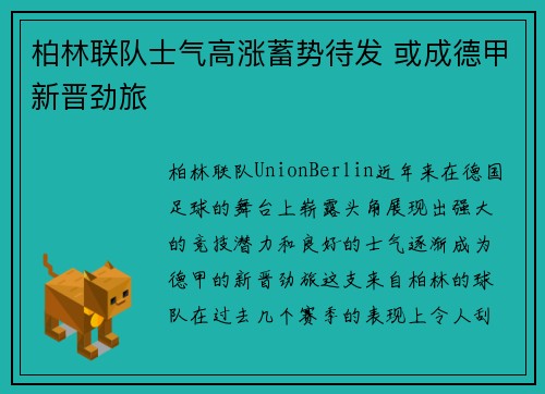 柏林联队士气高涨蓄势待发 或成德甲新晋劲旅